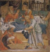 LUINI, Bernardino Birth Maria oil painting artist